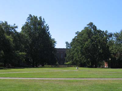 大学構内の様子